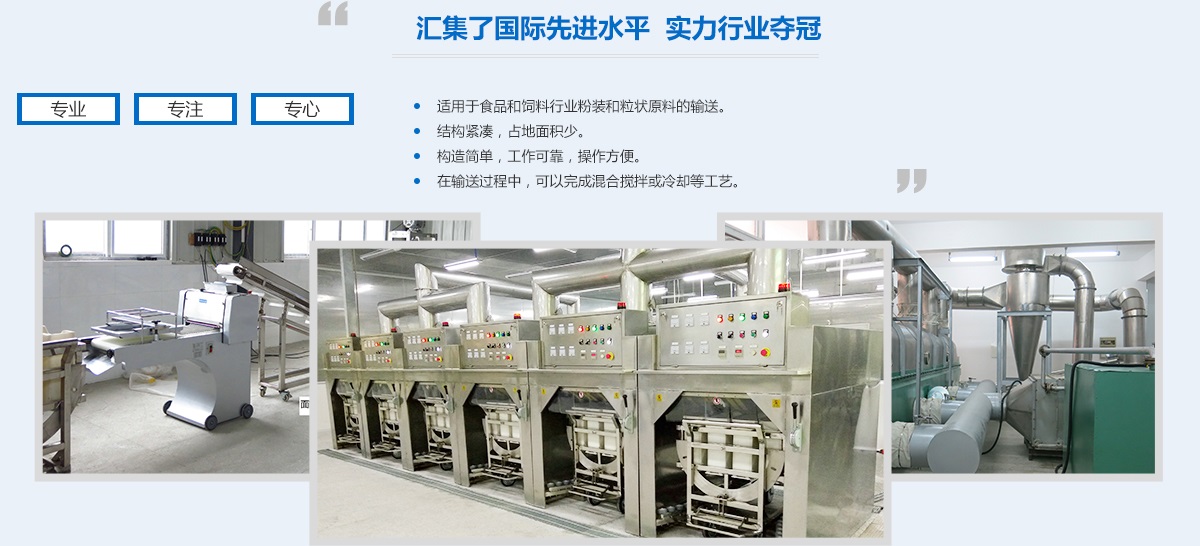 product17.jpg